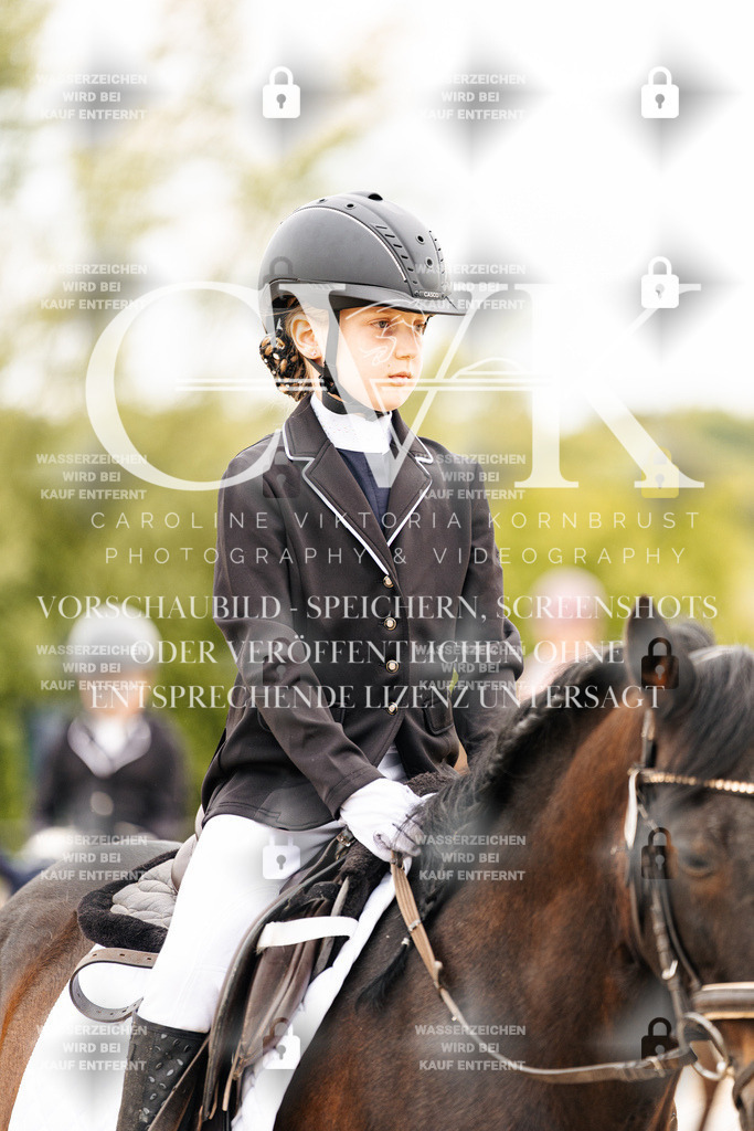 CK903641 | Turnierfotografie Pferdefotografie Trier Rheinland-Pfalz Pferdesport Reitsport Tierfotografie Sportfotografie Pferdevideo Pferdevideografie Equestrianvideography equestrianphotography  - Realisiert mit Pictrs.com