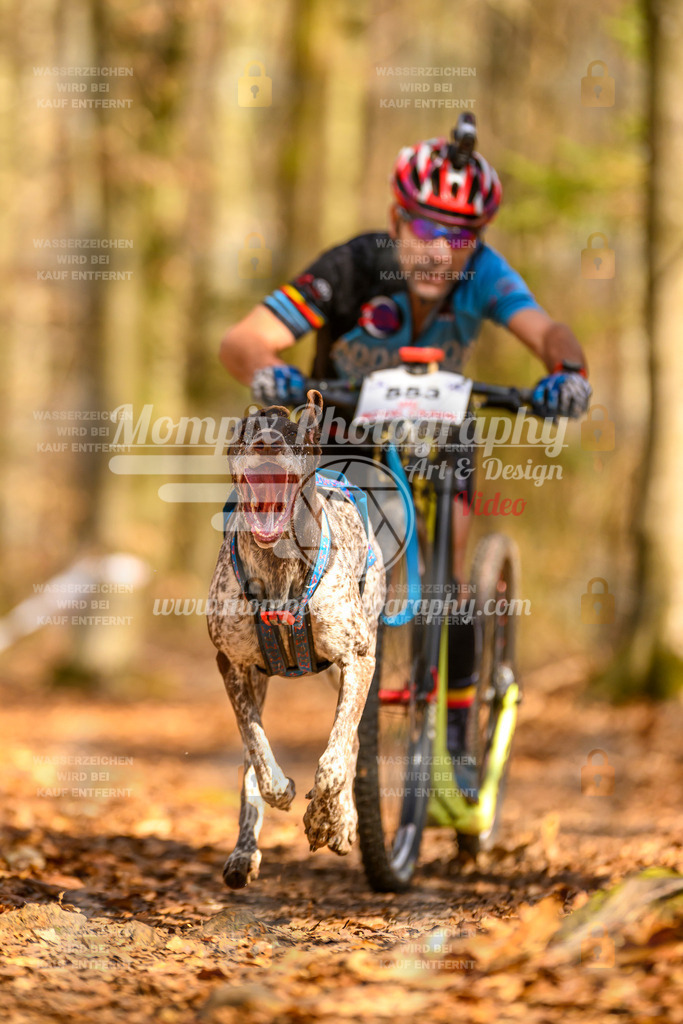 MompixPhotography_Habay2025_SA_SCO-2 | PayLife