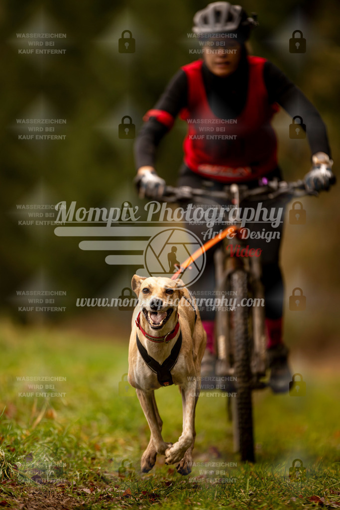 MompixPhotography_2SSTSSBW_2025_SO_Bike-38 | PayLife