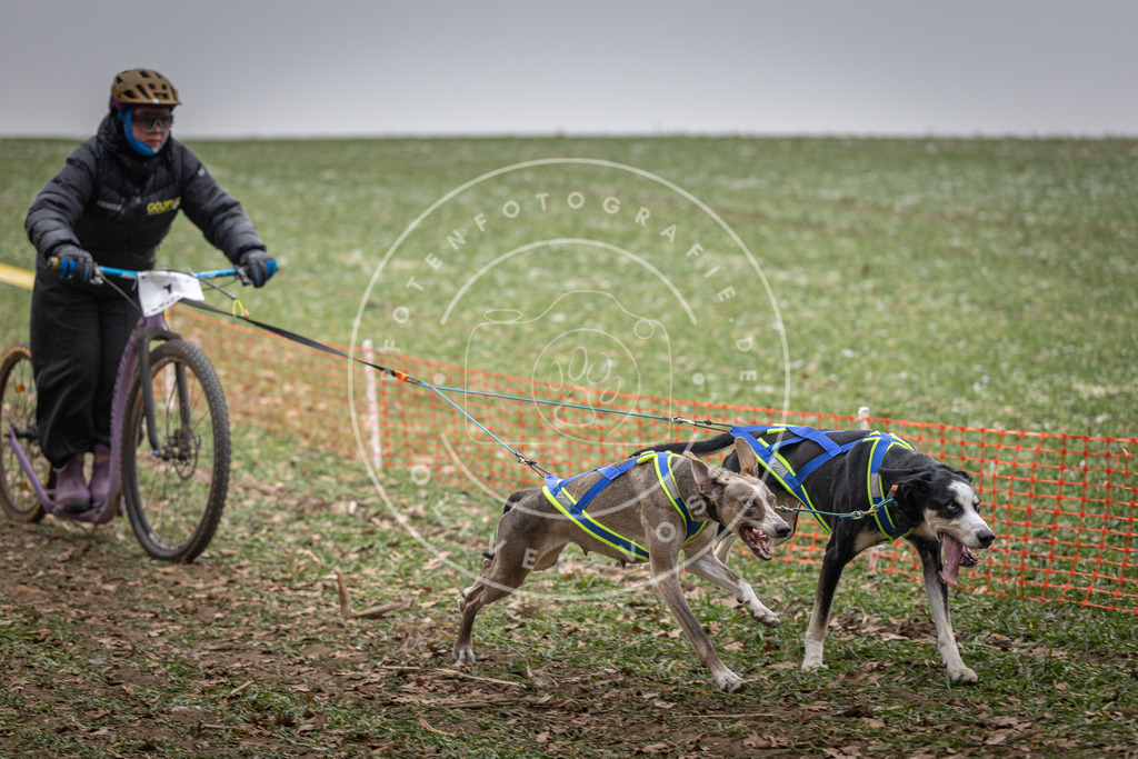 Pfotenfotografie_DV3A2144 | Hundefotografie, Tierfotograf, Pfotenfotografie, Fotoshooting Hund, Hunde Portrait, Hundesport, Hundeportraits, Heideshooting, Hunde, Sportfotograf, Hundefotograf, Turnierhundsport, THS,  - Realisiert mit Pictrs.com
