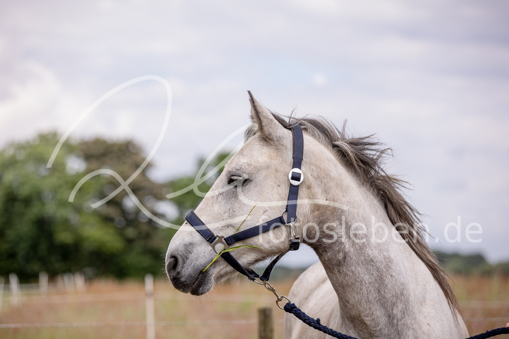 846A0868 | fotosleben - Realisiert mit Pictrs.com