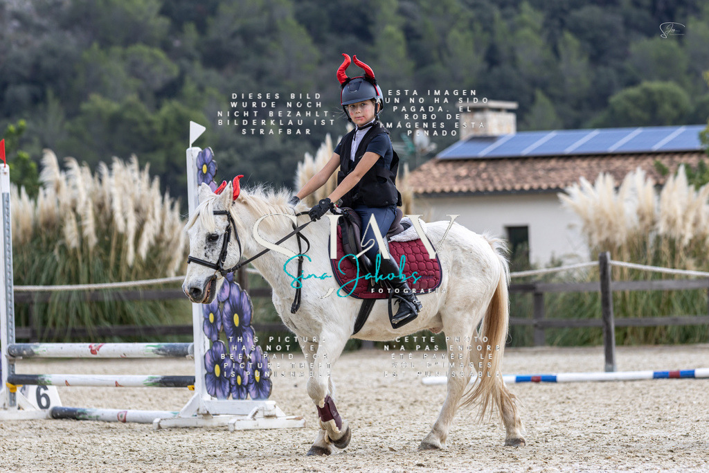 IMG_2254 | s-jay-photography - Realisiert mit Pictrs.com