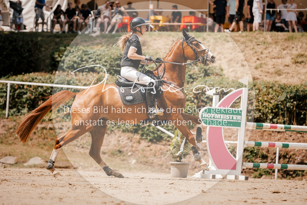 3I6A7937 | Stimmungsvolle Portraits und Reitsportfotografie im Ruhrgebiet und im Münsterland.

Pferdefotografie, Hundefotografie, Tierfotografie, Reportagen, Portraits von Tier und Mensch, Turnierfotografie in Bochum, Recklinghausen, Marl, Haltern am See, Dülmen.. - Realisiert mit Pictrs.com