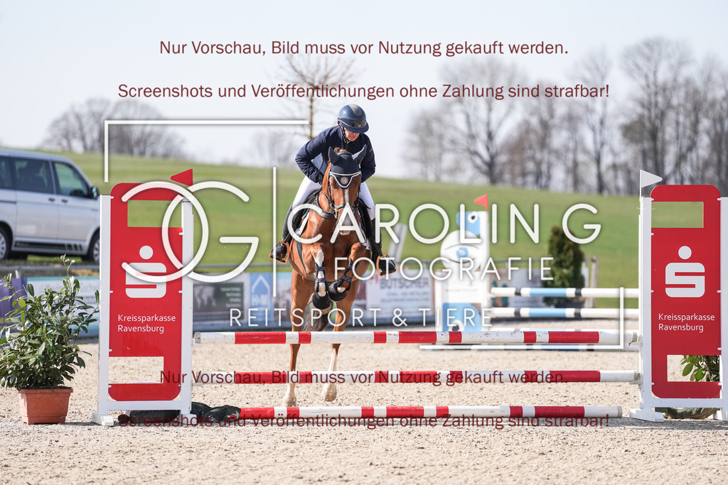 DSC05185 | Late_entry_Springturnier_Bad_Wurzach, Coloured_Cadou_G, Simone_Gall