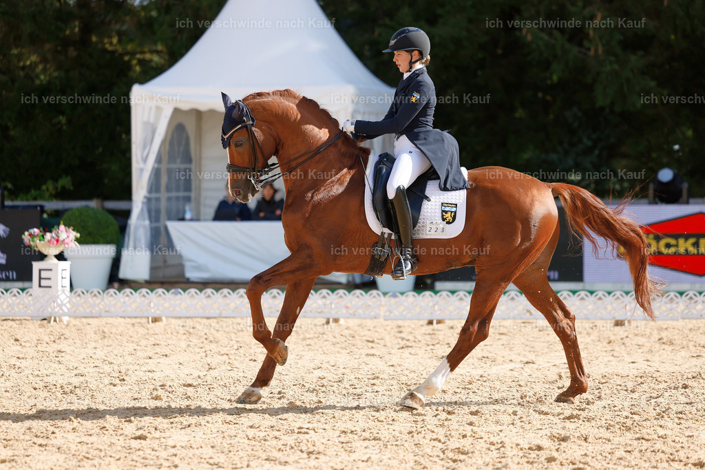 09_2-223-DRESSUR  S_  -StoibPH-5802 | working equitationturnier fotograf videograf stoibphotography marixx film working equitation deutschland reitsport turnierfotografie eventfotografie equestrian events