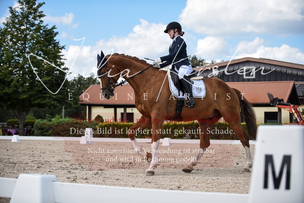 DSC_9376 | Pferde- und Turnierfotografie in Westsachsen. Pferdeportraits, Auftragszeichnungen und intuitive Kunst.