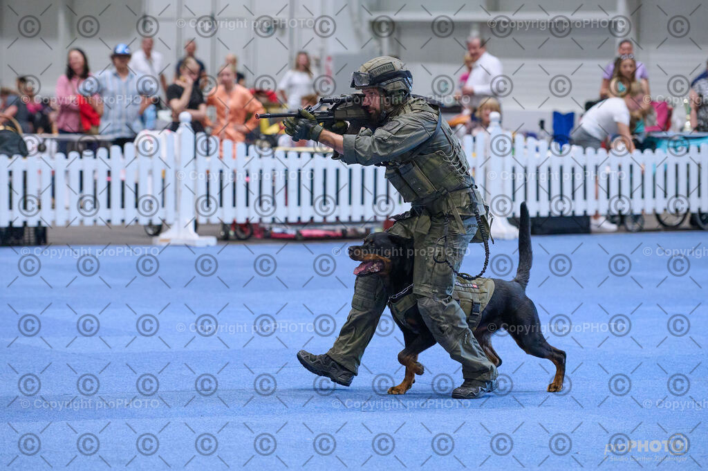 202406_ÖKV-IHA-Tulln24_DSC_3573 | proPHOTO - Realisiert mit Pictrs.com