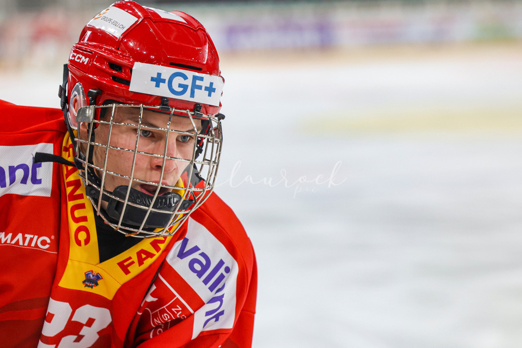 701A3104 | Sportbilder, Sportfotograf, Hochzeits- und Eventfotografin, Flugshows, Portraits und Tiershooting, Aviation, Downhill, Nationalleague, Swissleague, International