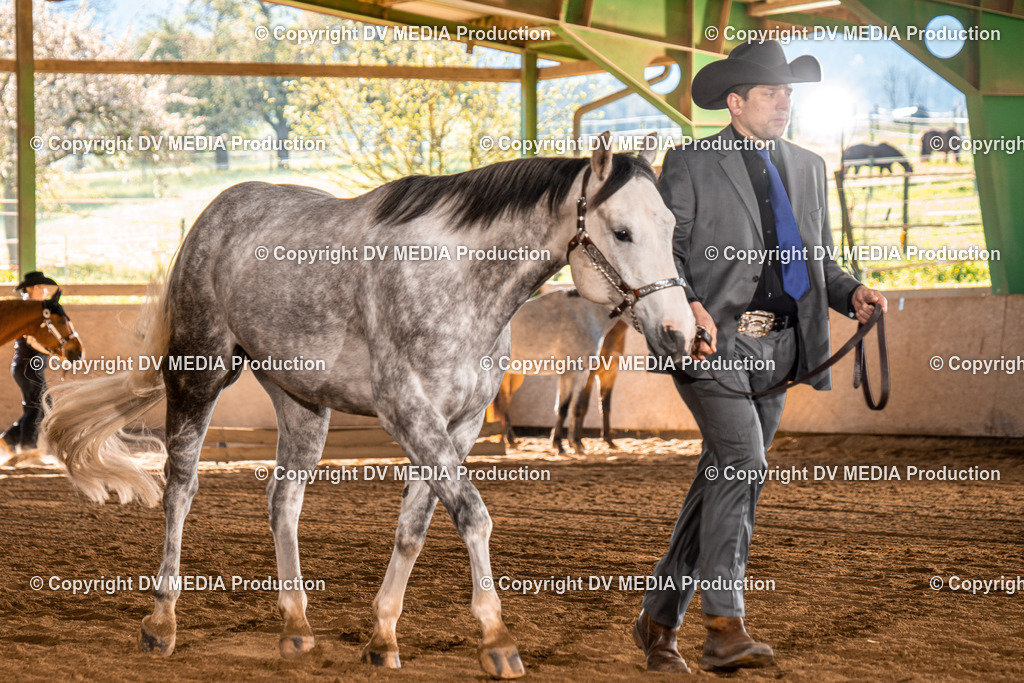 Balingen Tag 1-52 | dv-media-shop - Realisiert mit Pictrs.com