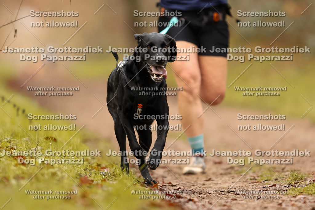 Dog Paparazzi - Speedhunter Mannheim  2025-222 | Dog Paparazzi Jeanette Grottendiek Fotografie & Videografie