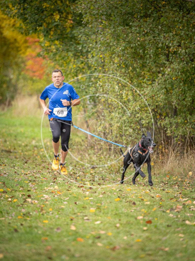 Pfotenfotografie_DV3A2646 | Hundefotografie, Tierfotograf, Pfotenfotografie, Fotoshooting Hund, Hunde Portrait, Hundesport, Hundeportraits, Heideshooting, Hunde, Sportfotograf, Hundefotograf, Turnierhundsport, THS,  - Realisiert mit Pictrs.com
