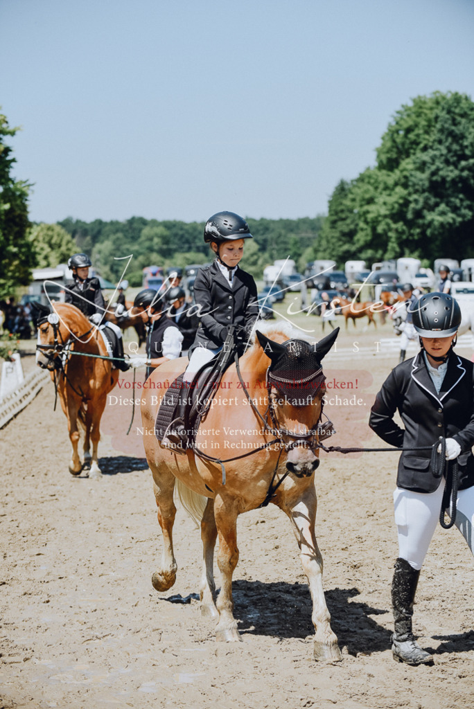 DSC_2428 | Pferde- und Turnierfotografie in Westsachsen. Pferdeportraits, Auftragszeichnungen und intuitive Kunst.