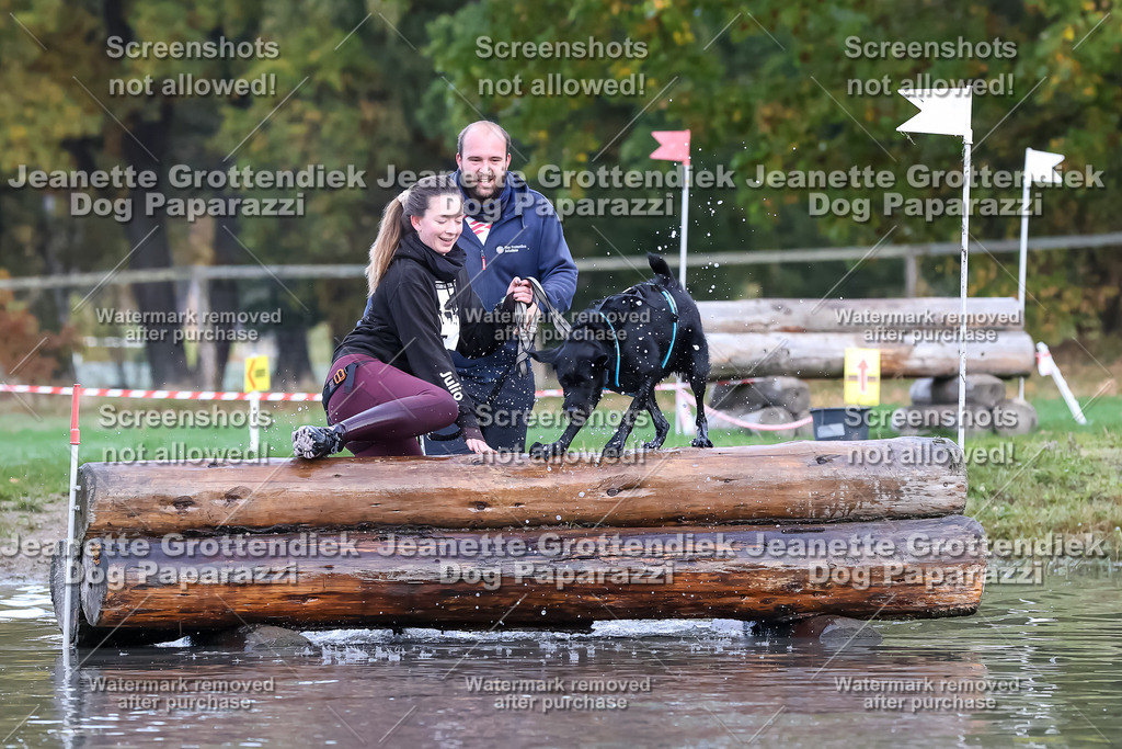 Dog Paparazzi - Strongdog 10-25-6549 | Dog Paparazzi Jeanette Grottendiek Fotografie & Videografie - Realisiert mit Pictrs.com