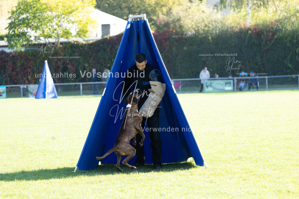 _16A5003 | Einzigartige Fotos von Hunden & Menschen –Actionfotos, Portraits, Vereinsaufnahmen & Paarshootings – authentisch, lebendig & mit Herz.