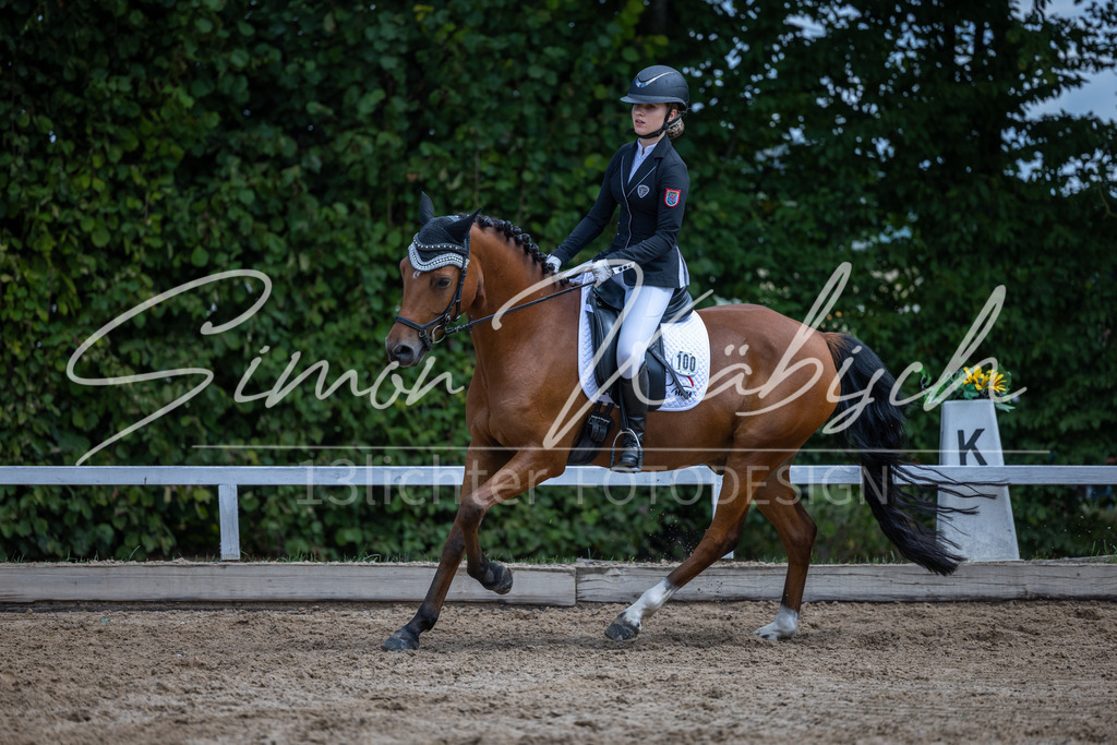 20260905-_3LI8205 | Tierfotografie Pferde, Hunde, Katzen, Haustiere.
Turnierfotografie Reitturniere, Reiten, Springreiten, Dressur in Hanau, dem Main-Kinzig-Kreis und dem Rhein-Main- Gebiet um Frankfurt