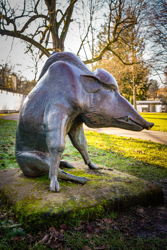 Wildschwein - Bad Salzhausen | Dieses Wildschwein gönnt sich nach einer ausgedehnten Runde durch den Kurpark eine wohlverdiente Sitzpause. Der Kurpark in Bad Salzhausen ist vor allem für die mineralischen Quellen, das Gradierwerk und die Mühle der ehemaligen Salzsieder bekannt. Doch auch Abseits dieser Wasserattraktionen finden sich kleine und große Kunstwerke, die auch Stammgäste noch überraschen können. Man muss lediglich die angelegten Pfade mit wachem Auge begehen und als Lohn eröffnet sich eine neue Perspektive auf die grüne Kuranlage. - Realisiert mit Pictrs.com