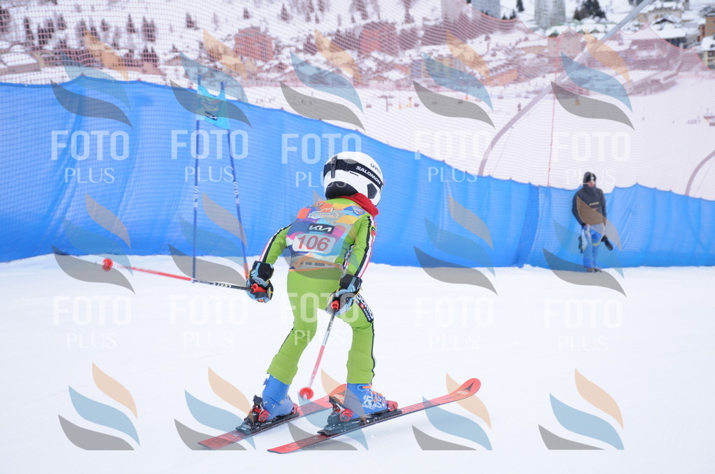 DSC_8395 | holidayphoto