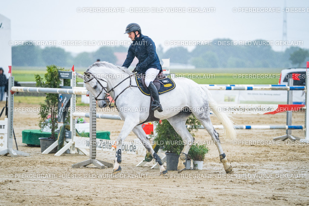 DSC00013 | Pferdegrafie