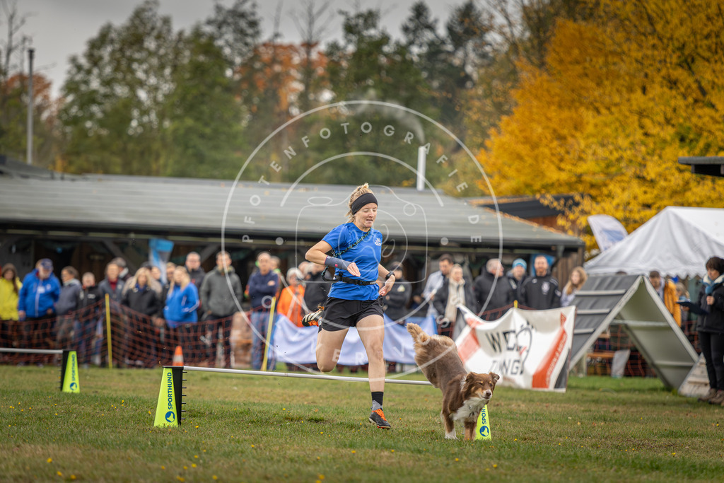 Pfotenfotografie_DV3A2987 | Hundefotografie, Tierfotograf, Pfotenfotografie, Fotoshooting Hund, Hunde Portrait, Hundesport, Hundeportraits, Heideshooting, Hunde, Sportfotograf, Hundefotograf, Turnierhundsport, THS,  - Realisiert mit Pictrs.com