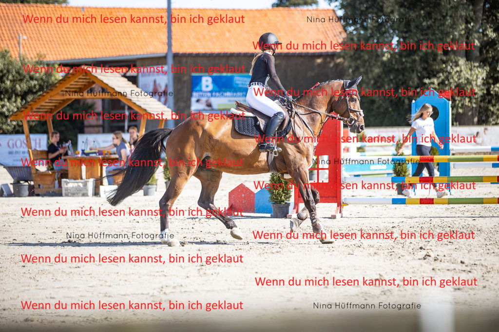 BK1A7139 | Turnierbilder Turnierfotos Nina Hüffmann Turnierfotografie Pferdefotografie Tierzeichnung Haustierzeichnung Pferdezeichnung Hundezeichnung Videograf  - Realisiert mit Pictrs.com