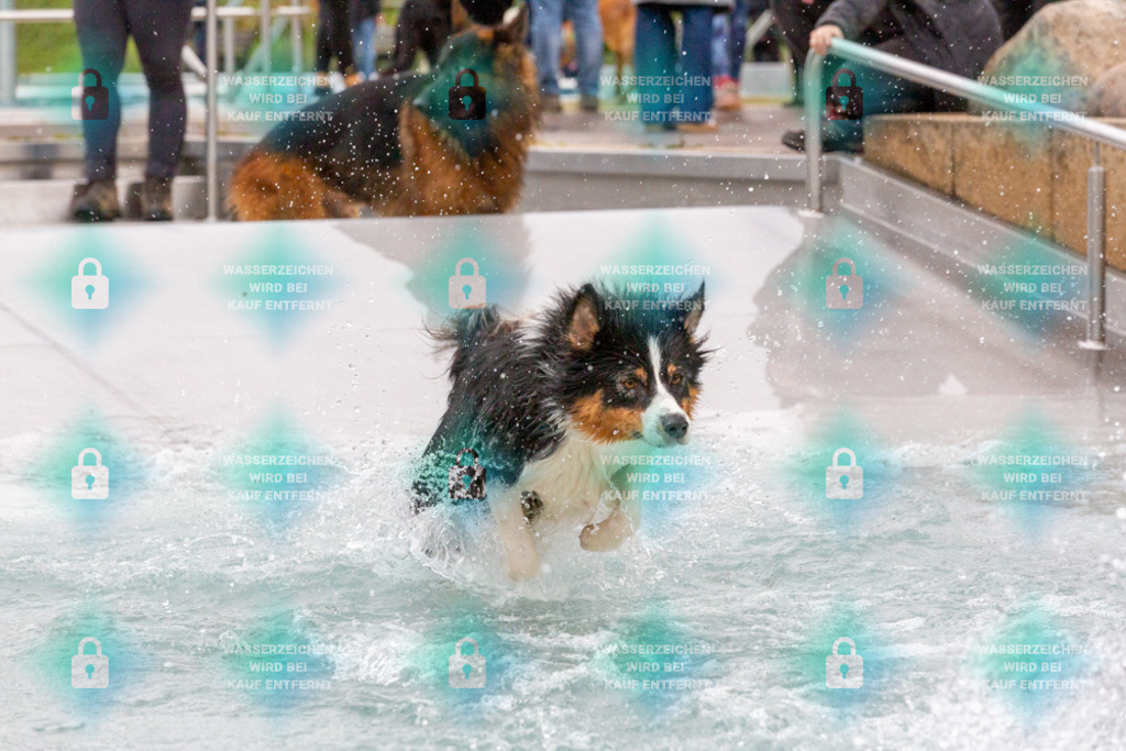 _HP_7454_1000o | HetPix, HetPix Fotodesign, Fotografie, Fotodesign, Webshop, Sportfotografie, Portraitfotografie, Onlineshop, Sportfotografie, Polch, Motorsportfotografie, Eventfotografie