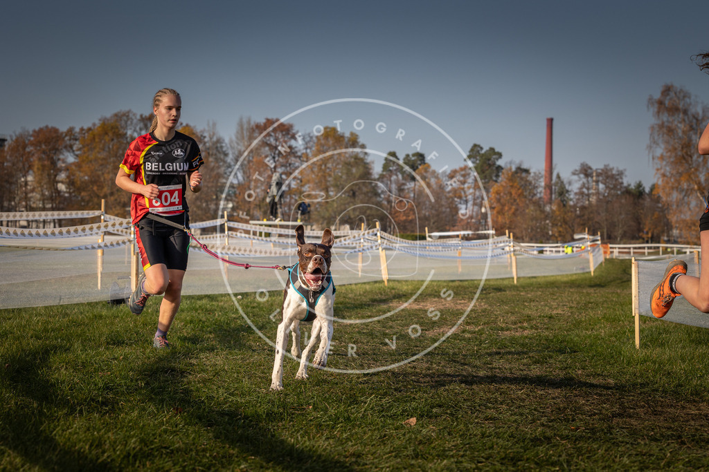 CaniXpix_0L8A0117 | Hundefotografie, Tierfotograf, Pfotenfotografie, Fotoshooting Hund, Hunde Portrait, Hundesport, Hundeportraits, Heideshooting, Hunde, Sportfotograf, Hundefotograf, Turnierhundsport, THS,  - Realisiert mit Pictrs.com