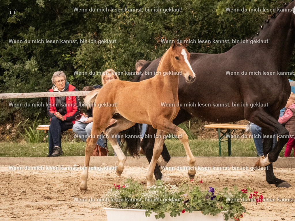 A10I1407 | photographylinaismer - Realisiert mit Pictrs.com