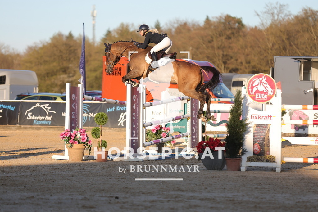 0P6A2718 | Willkommen bei Brunnmayr - Design & Fotografie – Ihrem Spezialisten für Reitturniere und Pferdeveranstaltungen in Oberösterreich, Salzburg und Bayern! Seit über 17 Jahren sind wir leidenschaftlich dabei.