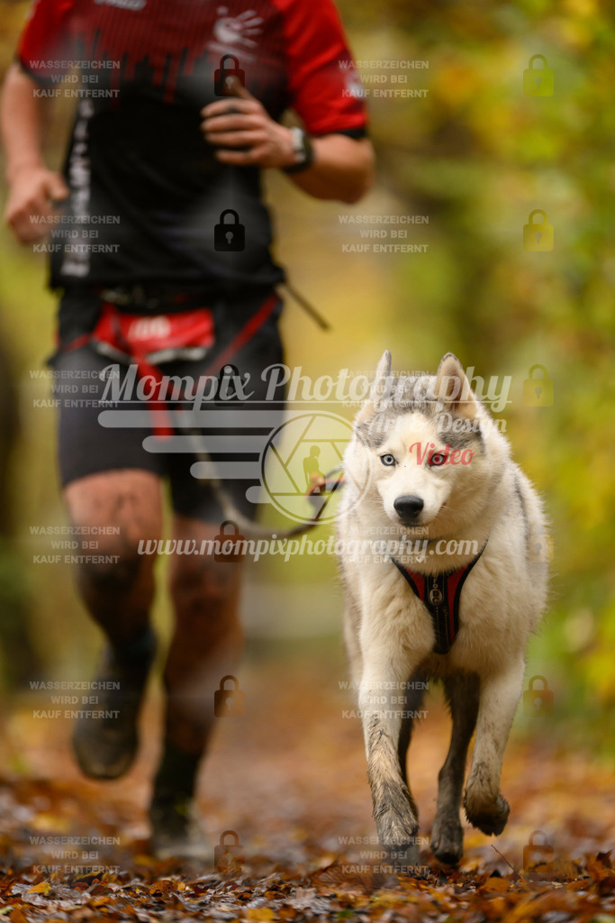 MompixPhotography_CD7S_DI_CCL-50 | mompixphotography