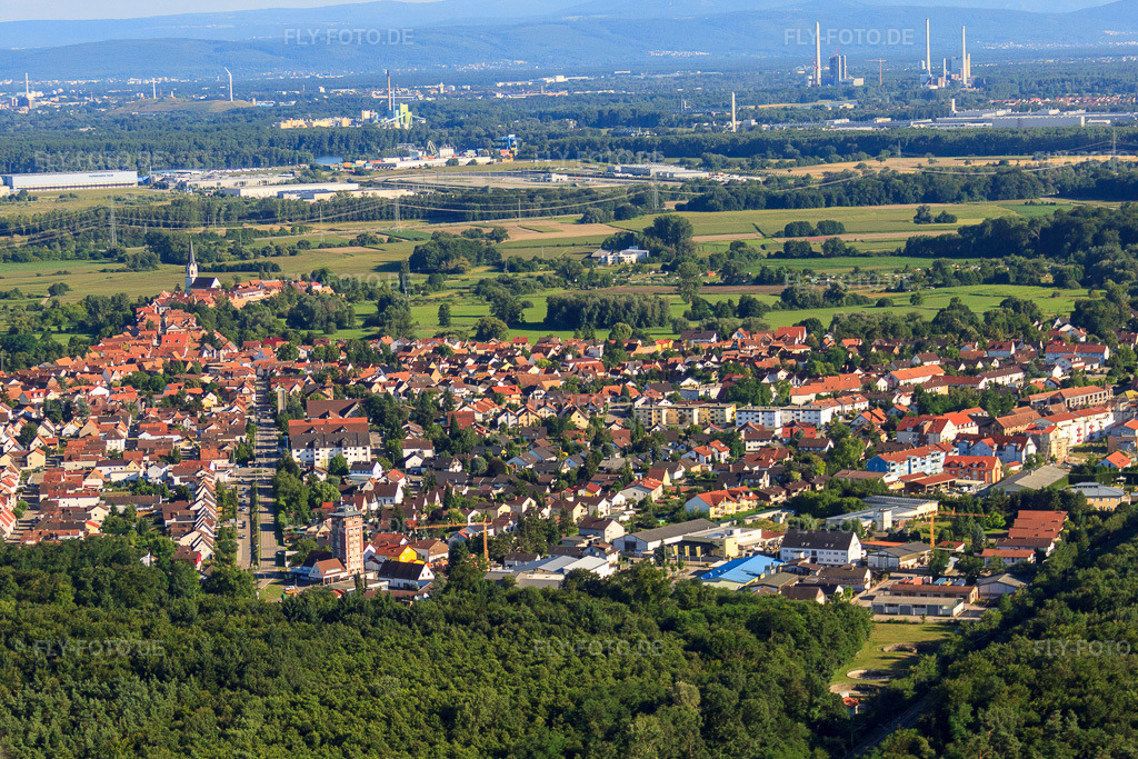 Luftbild: Buchstraße von Norden in Jockgrim im Bundesland Rheinland-Pfalz in Deutschland. Foto: IMG_30788.jpg vom 31.07.2010 durch Werner Riehm/FLY-FOTO.de