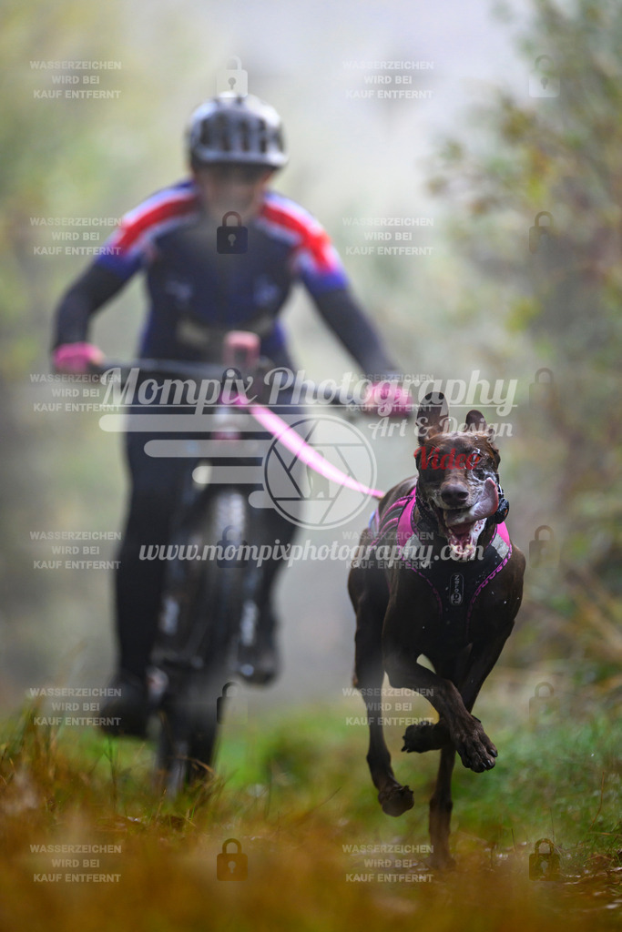 MompixPhotography_20TSB_E4_Bike-30 | PayLife