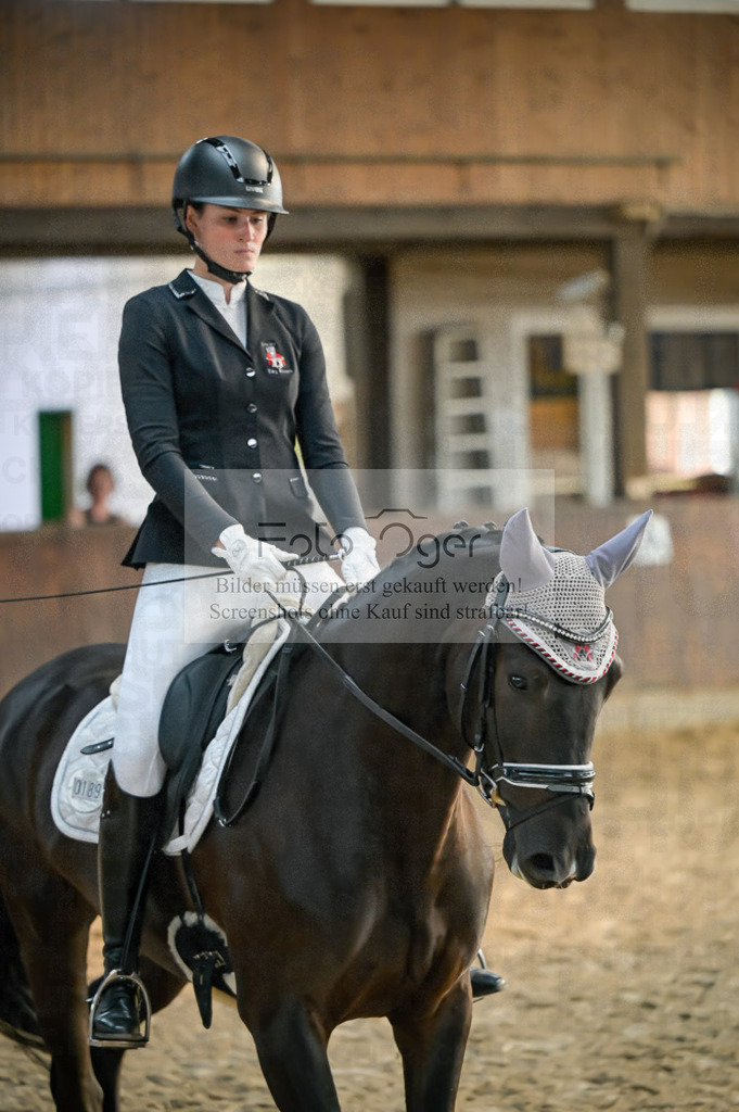 Reitturnier Voxtrup | Entdecke hochwertige Reitturnierfotos von Foto Oger. Professionell, emotional und authentisch – jetzt Lieblingsmomente im Shop bestellen.Deutschlandweite Turnierfotografie. - Realisiert mit Pictrs.com