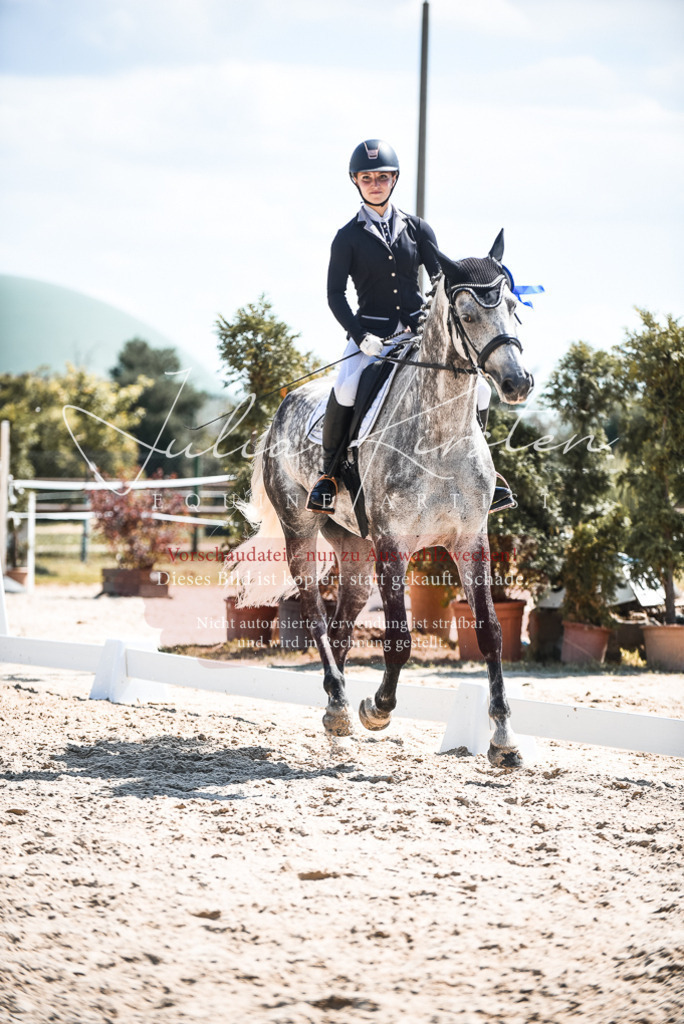 DSC_8803 | Pferde- und Turnierfotografie in Westsachsen. Pferdeportraits, Auftragszeichnungen und intuitive Kunst.