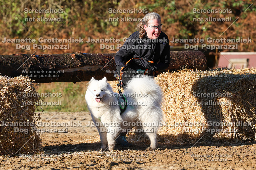 Dog Paparazzi - Strongdog 10-25-1211 | Dog Paparazzi Jeanette Grottendiek Fotografie & Videografie - Realisiert mit Pictrs.com