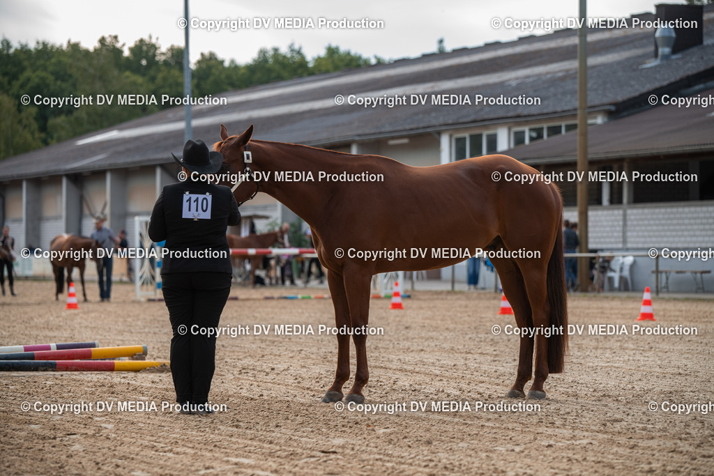 EWP_5513 | dv-media-shop - Realisiert mit Pictrs.com