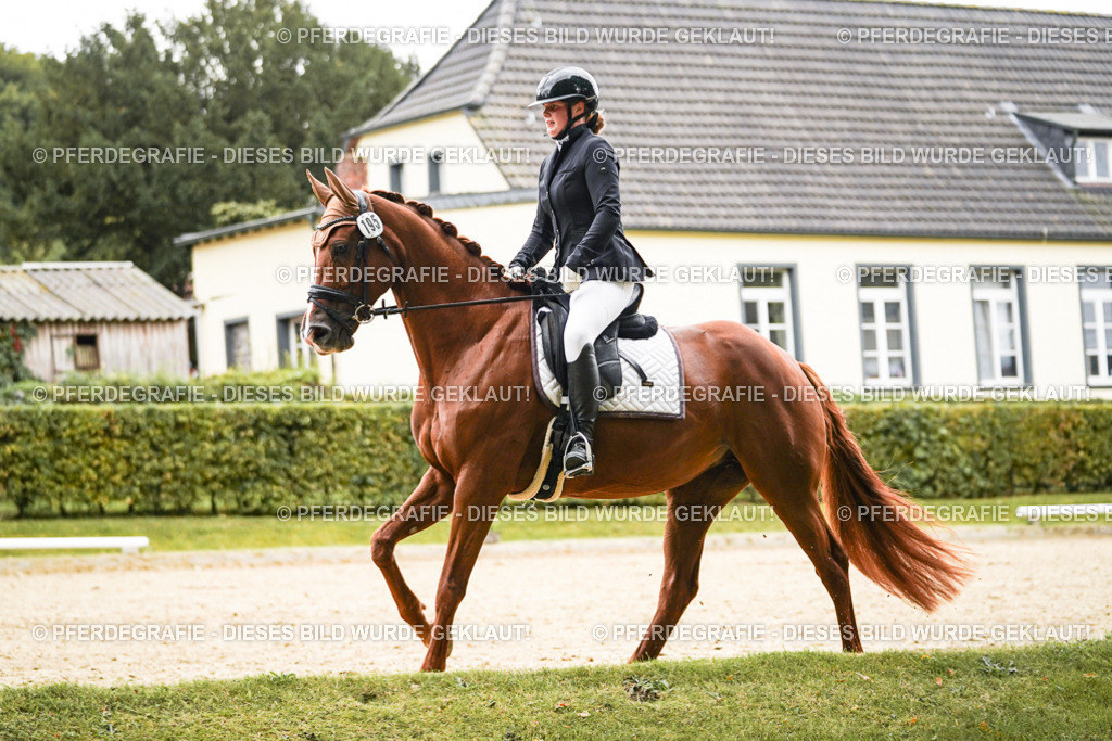 DSC08215 | Pferdegrafie