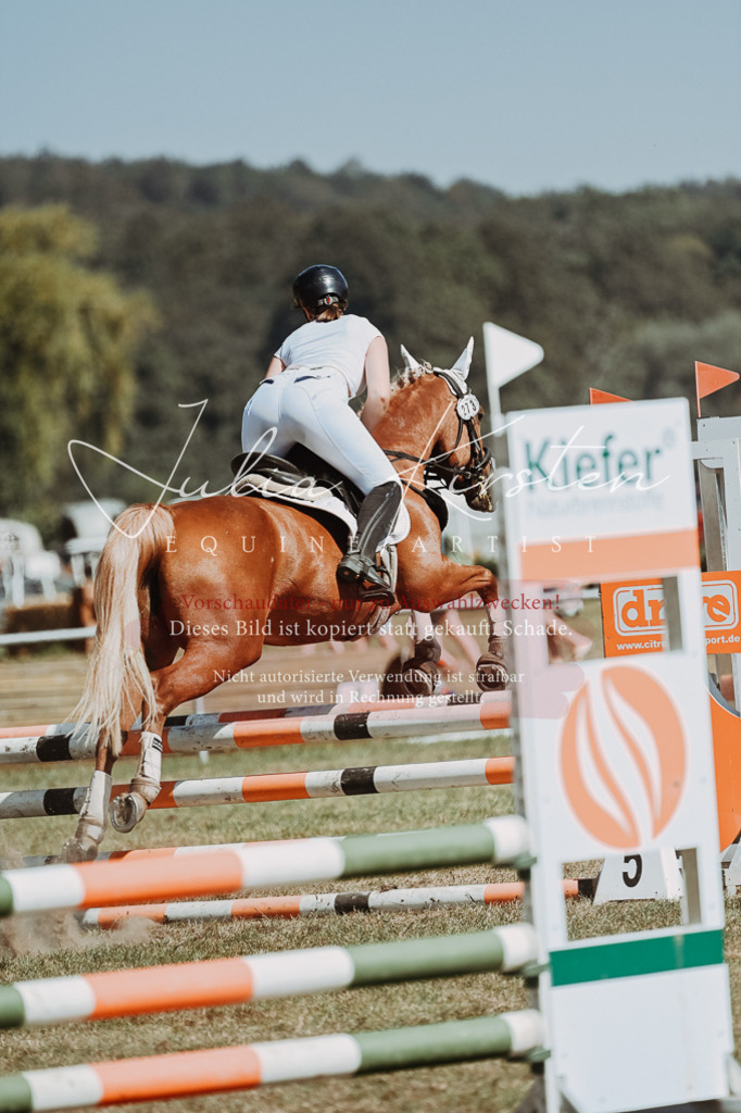 DSC_0023 | Pferde- und Turnierfotografie in Westsachsen. Pferdeportraits, Auftragszeichnungen und intuitive Kunst.