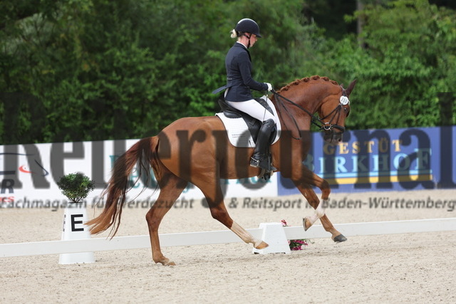 Weilheim_2024_Prfg.Nr.15_Reitpferdeprfg_3-jähr_Stuten u.Wallache_Nicole Hofmann_Florian de trois lys (7) | Alle Fotos der Reiterjournal Fotografin Doris Matthaes im Reiterjournal Online-Fotoshop. - Realizado com Pictrs.com