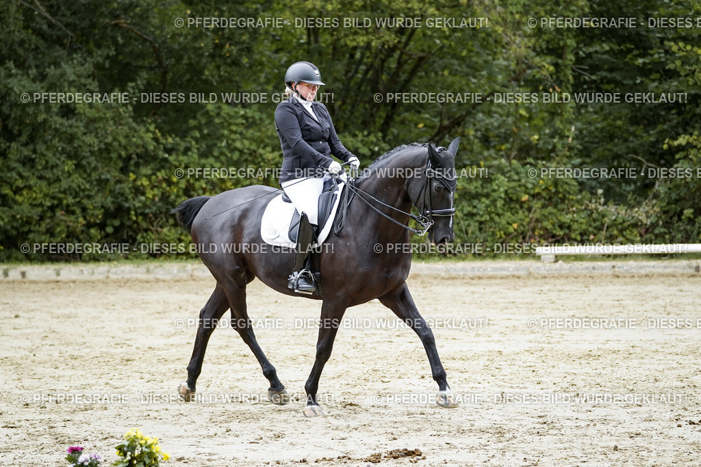 DSC09405 | Pferdegrafie