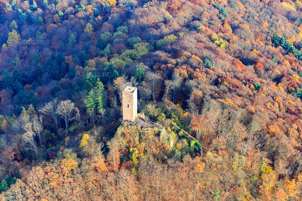 Luftbild: Burgruine Scharfenberg in Leinsweiler im Bundesland Rheinland-Pfalz in Deutschland. Foto: IMG_085150.jpg vom 08.11.2015 durch Werner Riehm/FLY-FOTO.de