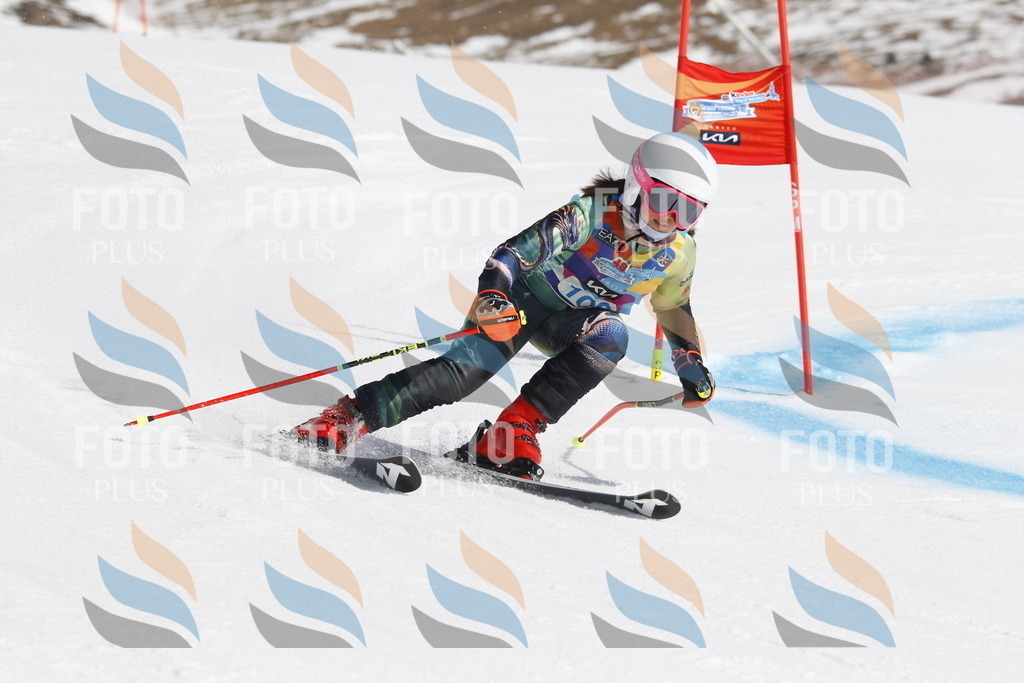 _U3G0361 | holidayphoto