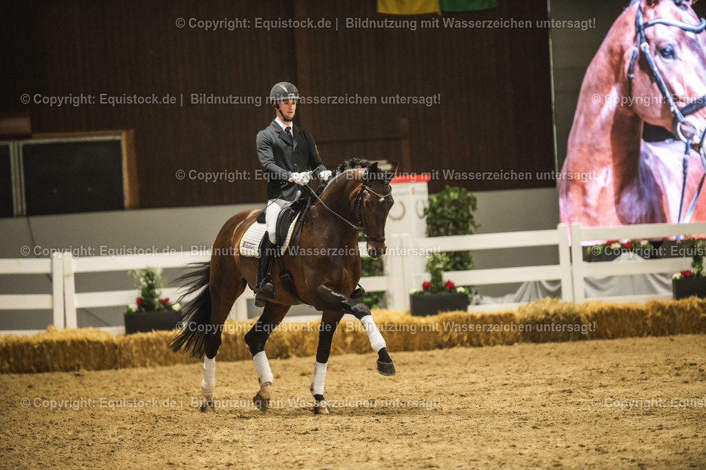 20240302_Hengstvorstellung_Marbach_TOMsPiC_1206 | equistock