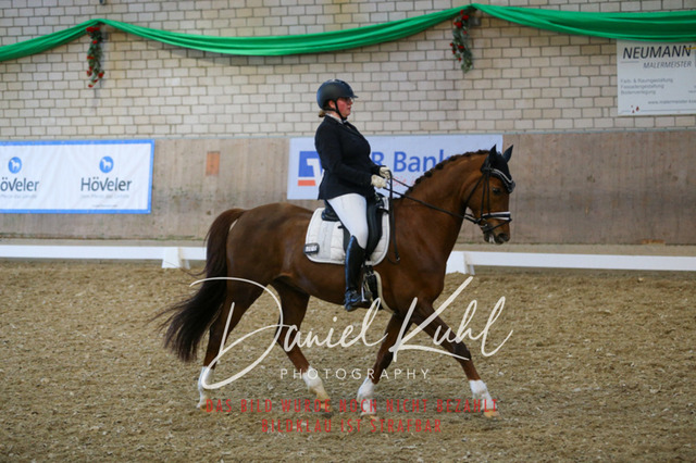 IMG_2954 | Turnierfotos kaufen im Webshop von Daniel Kuhl Photography – entdecke professionelle Reitsportfotos aus Turnieren & Events. Hochwertige Turnierbilder online bestellen & sichern. Jetzt Fotos von Reitsportturnieren kaufen!