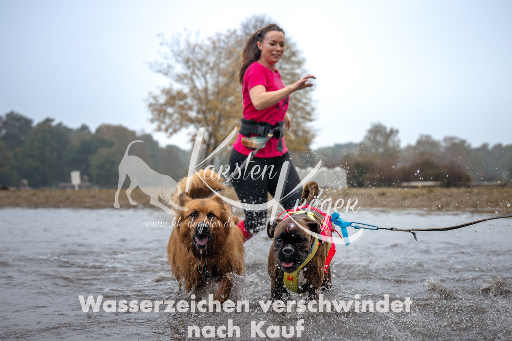 1025_ZZ99586 | kk-dogfotos