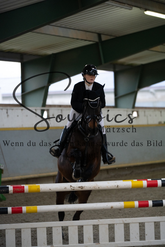 A7V02720 | Pferdefotograf