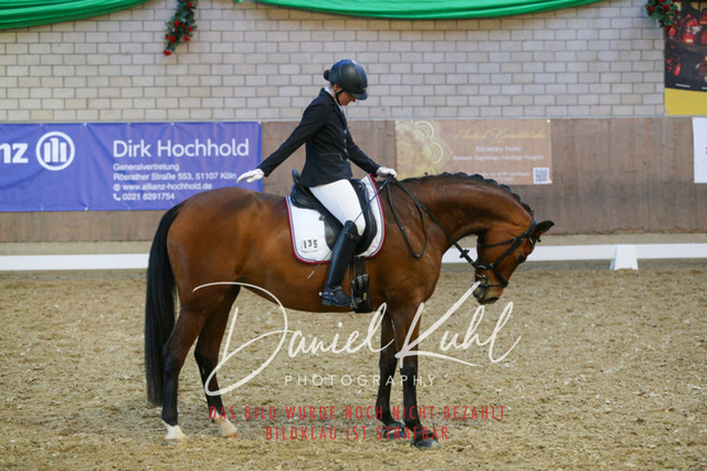 IMG_2973 | Turnierfotos kaufen im Webshop von Daniel Kuhl Photography – entdecke professionelle Reitsportfotos aus Turnieren & Events. Hochwertige Turnierbilder online bestellen & sichern. Jetzt Fotos von Reitsportturnieren kaufen!