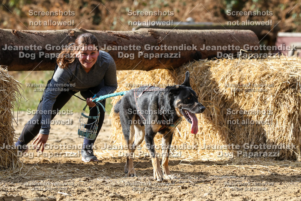 Dog Paparazzi - Strongdog 10-25-5114 | Dog Paparazzi Jeanette Grottendiek Fotografie & Videografie - Realisiert mit Pictrs.com