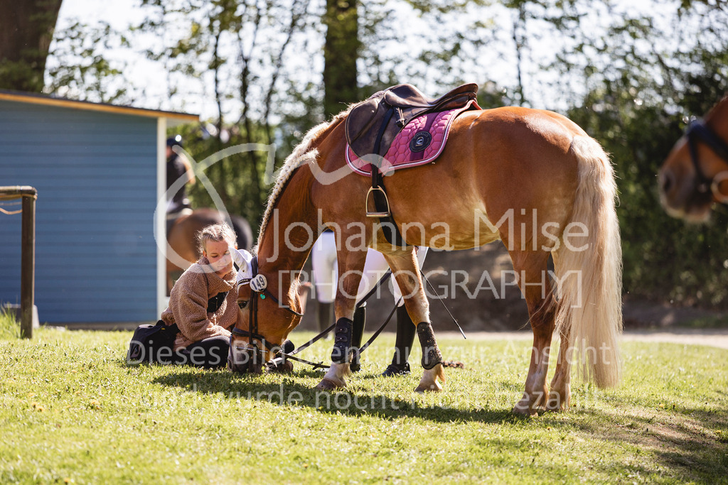 260425_Spenge_3_Stil-WB-319 | Deine schönsten Turniermomente als professionelle Fotos! Entdecke hochwertige Pferdesport-Fotografie im Online-Shop. Jetzt Fotos finden & bestellen!