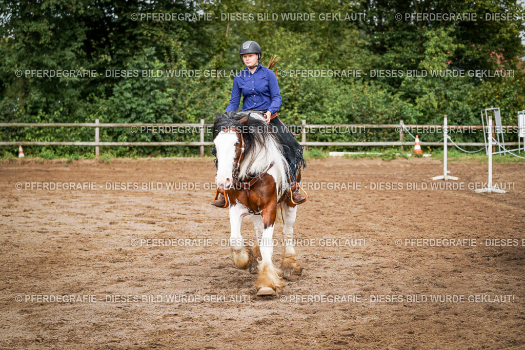 DSC09139 | Pferdegrafie