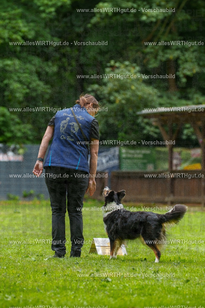@allesWIRTHgut_Tierfotografie - www.allesWIRTHgut.de - 091945-7R506945 | Professionelle Tierfotografie in Mönchengladbach von Daniel Wirth (allesWIRTHgut). Liebevolle & natürliche Bilder von Hunden & Katzen für unvergessliche Erinnerungen.